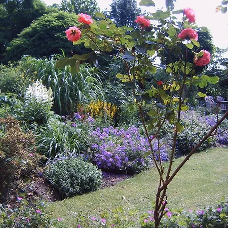 Bed and breakfast La-perchade 3*