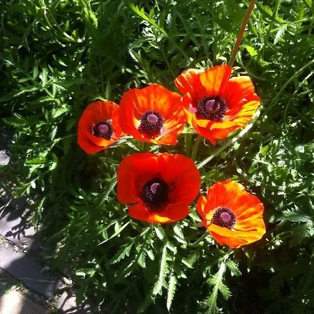 Bed and breakfast La-perchade