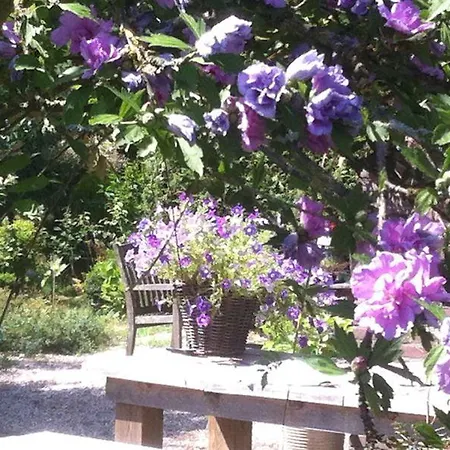 ベッド・アンド・ブレックファスト La-perchade Huissen